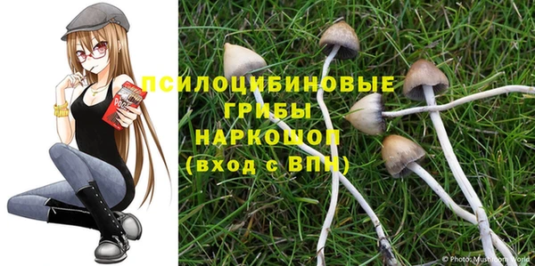 эйфоретик Баксан